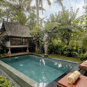 Moringa Ubud (Bali)